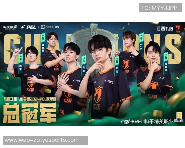 聚焦和平精英BLG战队的比赛经验与策略分享探讨