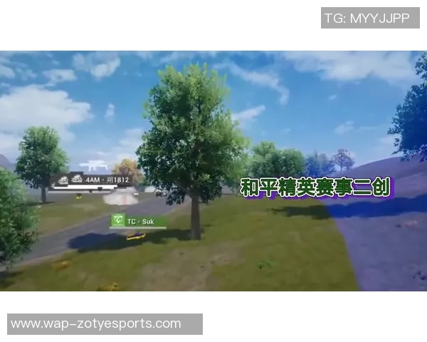 电竞实时数据分析与和平精英焦点WE比赛经验的深入探讨与总结